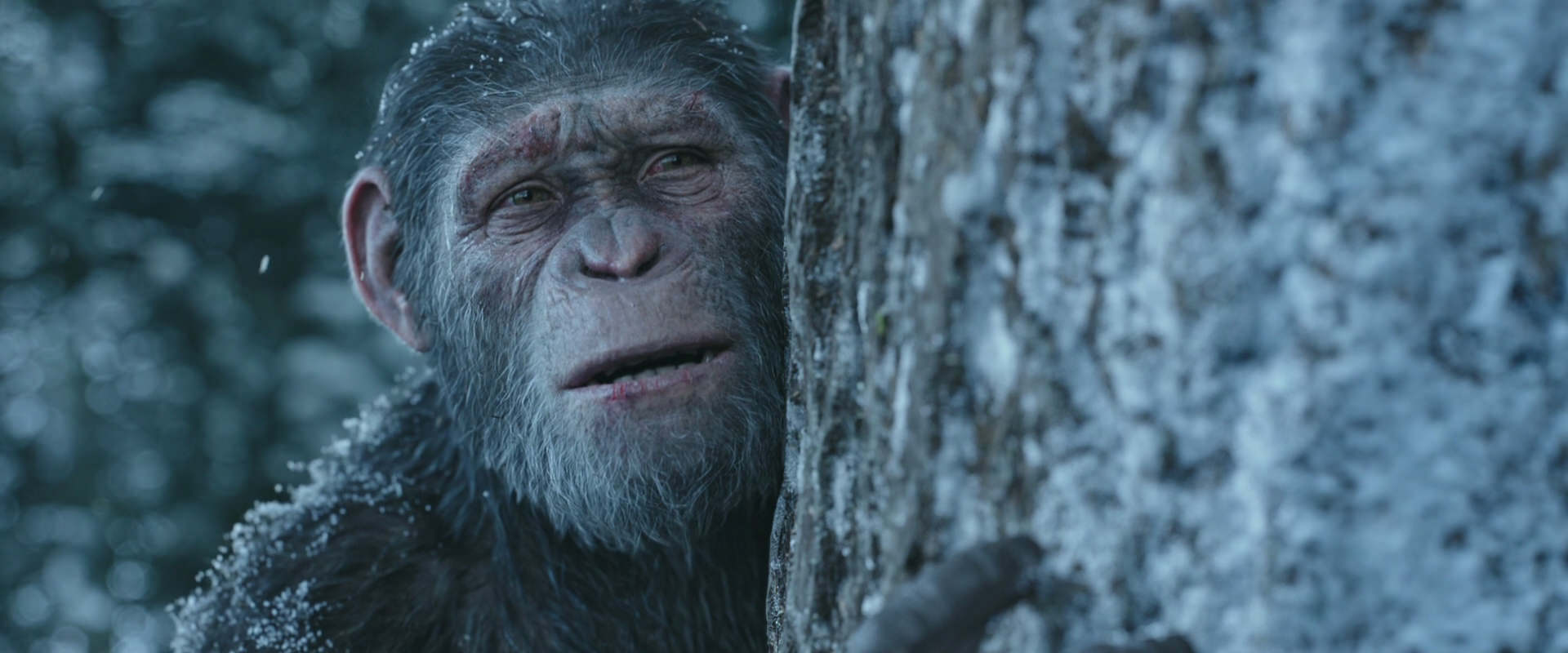 War for the Planet of the Apes (2017) HD screenshot 14951