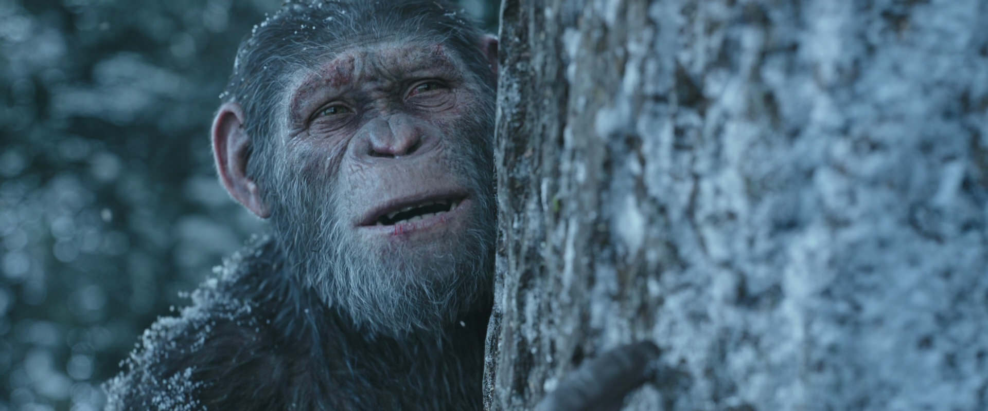 War for the Planet of the Apes (2017) screencap 14952