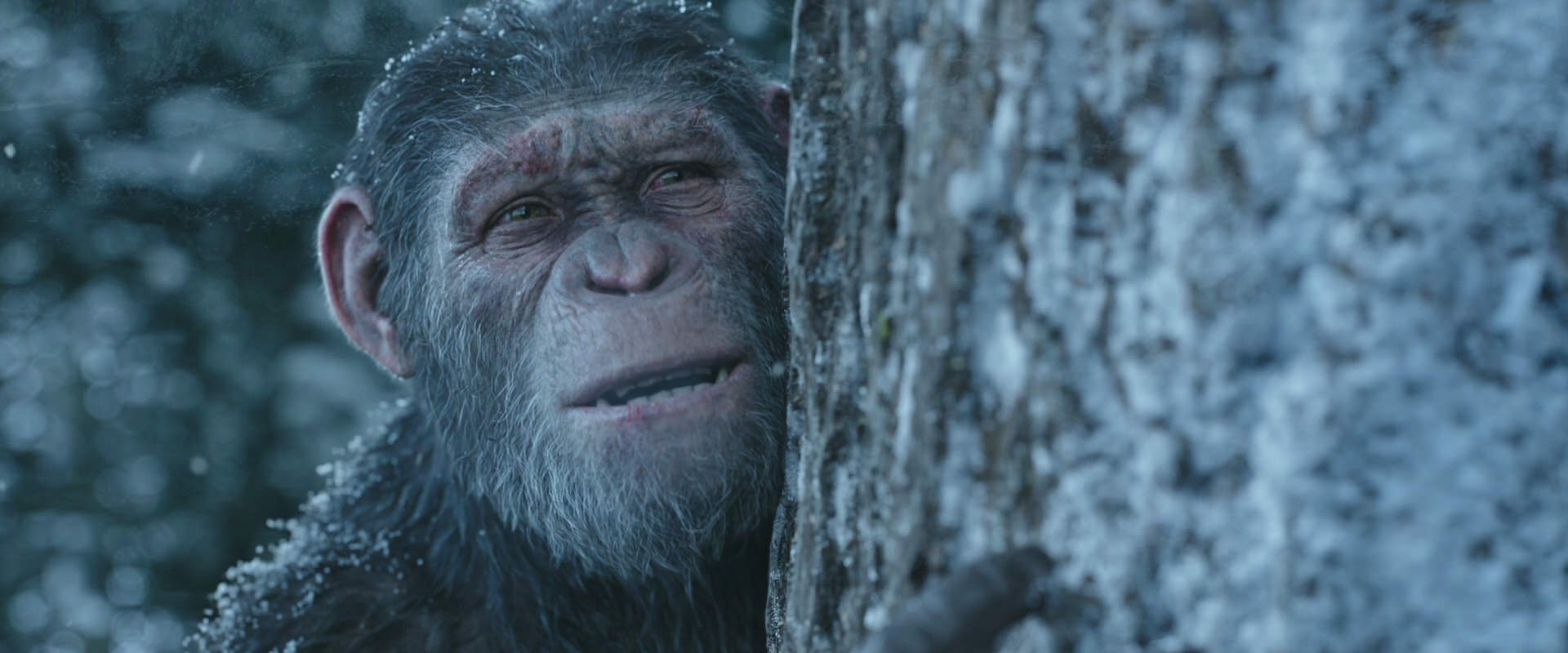 War for the Planet of the Apes (2017) movie still 14953