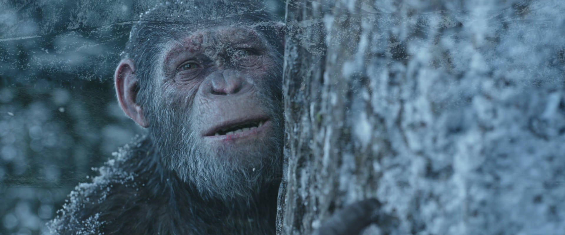 War for the Planet of the Apes (2017) HD screenshot 14954
