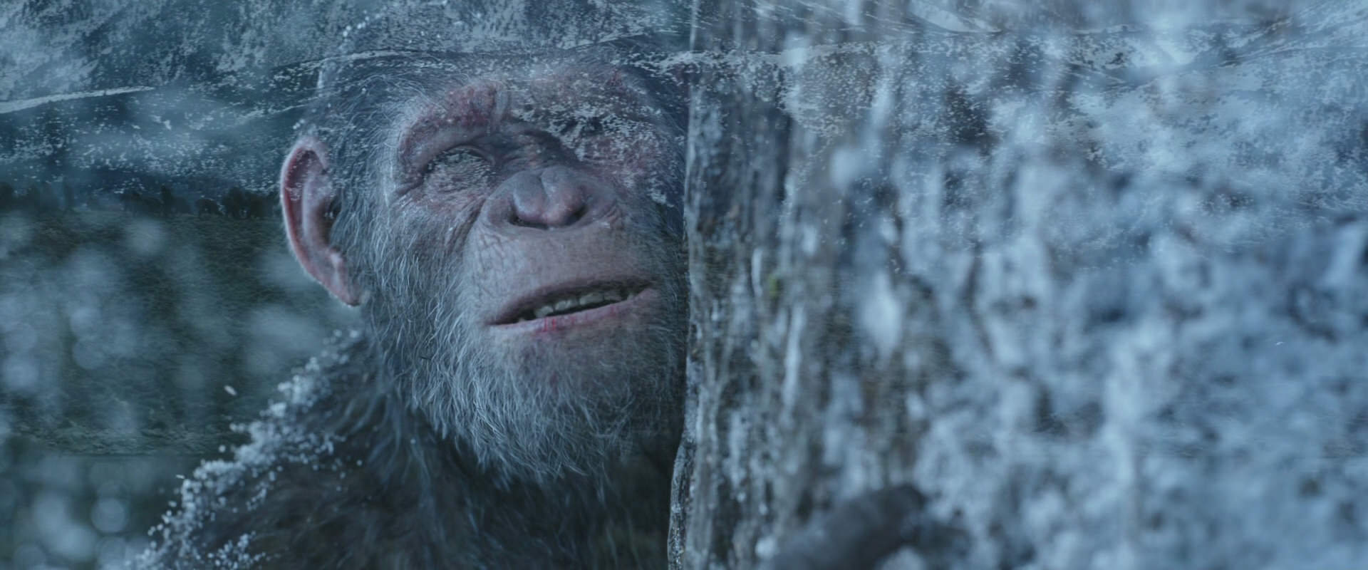War for the Planet of the Apes (2017) screencap 14955
