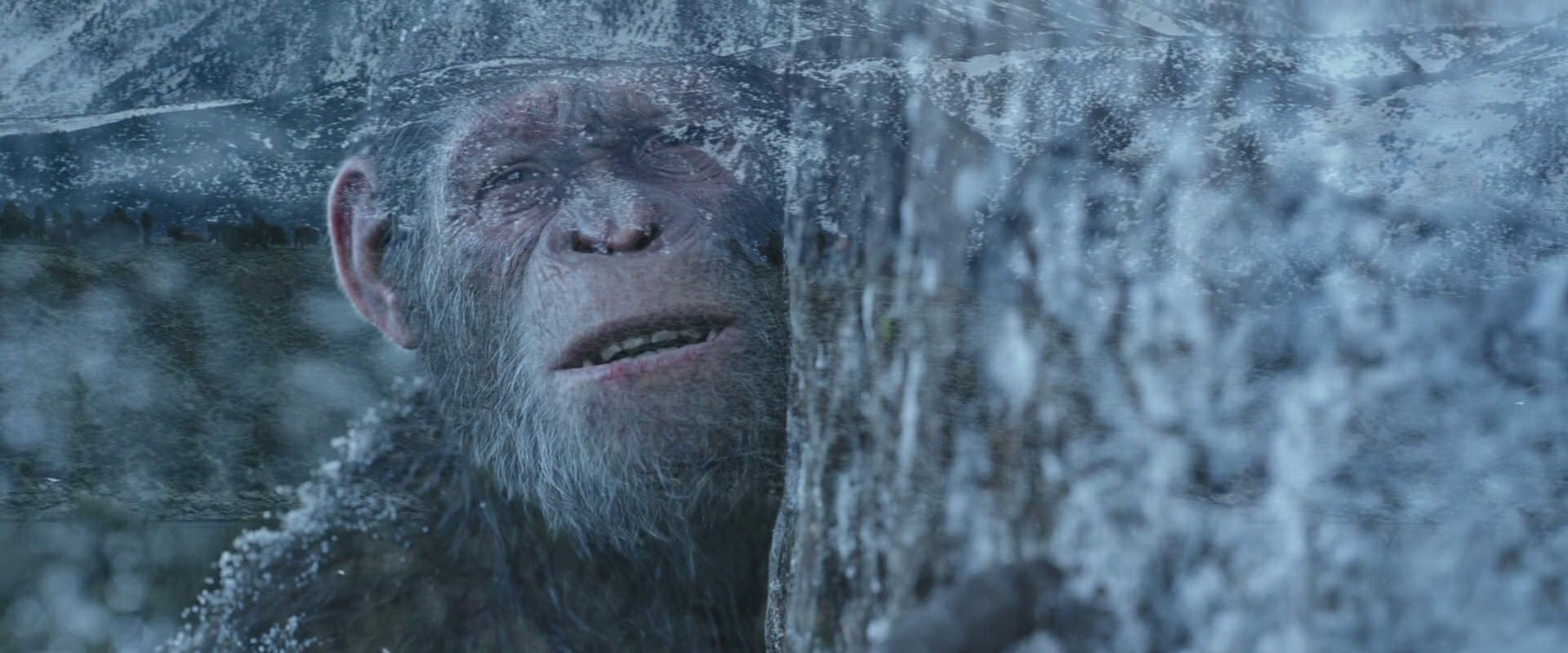 War for the Planet of the Apes (2017) movie still 14956
