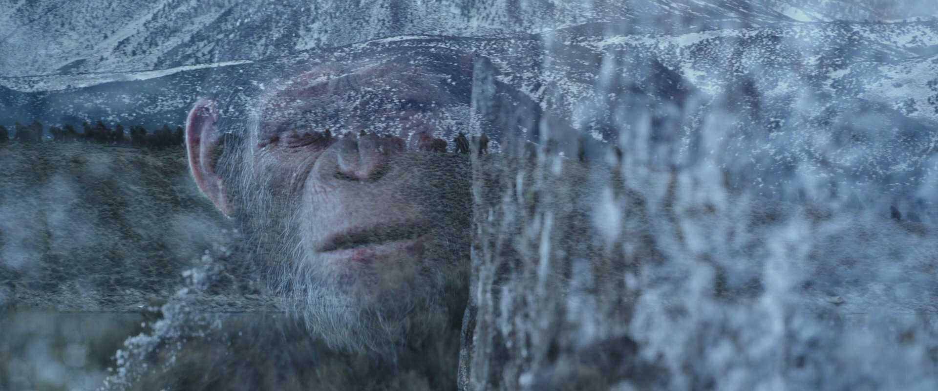 War for the Planet of the Apes (2017) screencap 14958