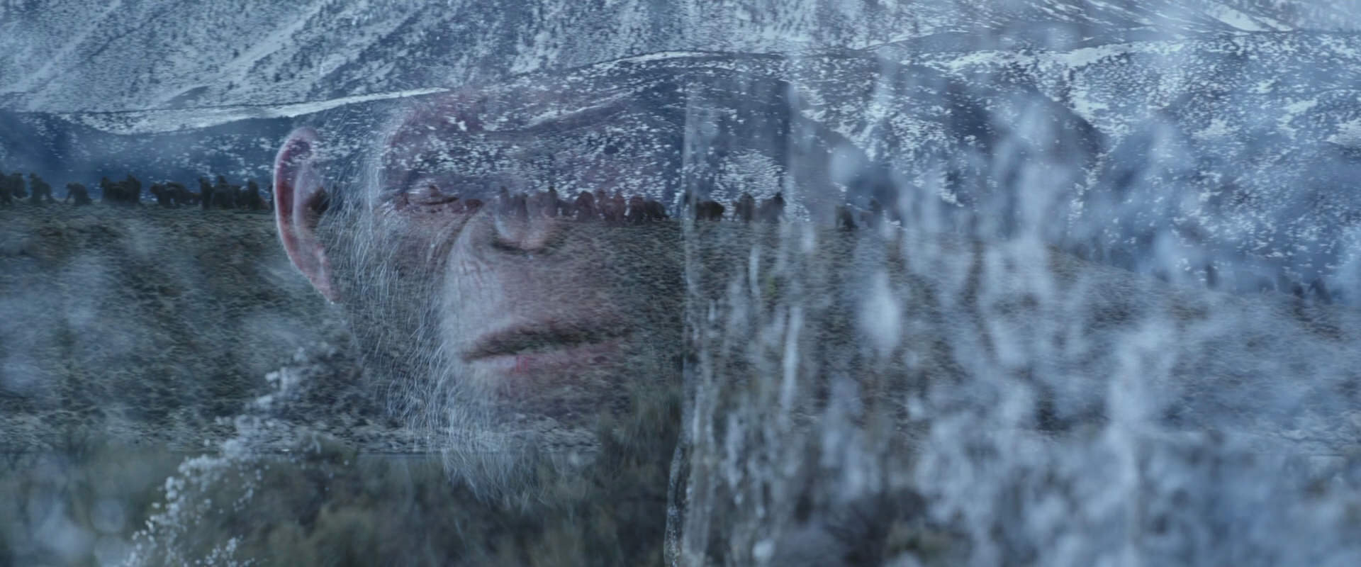 War for the Planet of the Apes (2017) movie still 14959