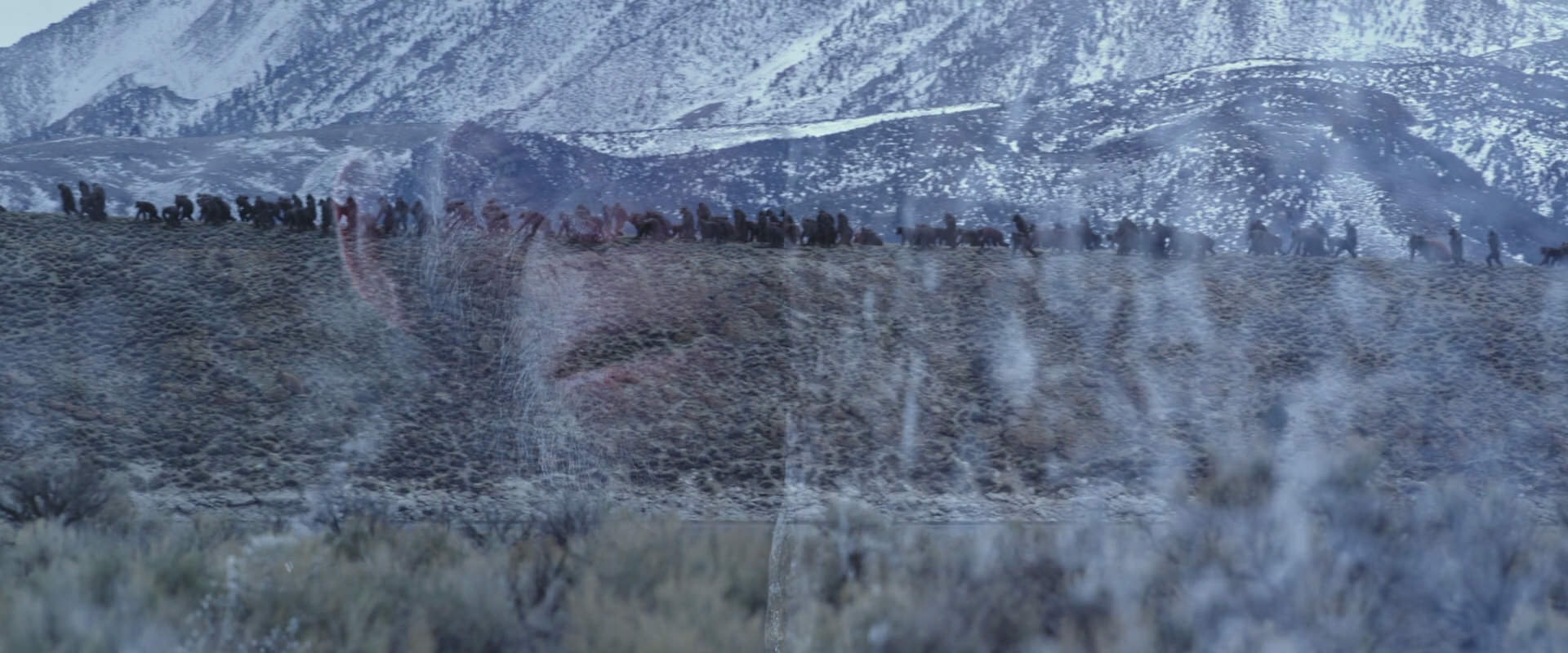 War for the Planet of the Apes (2017) screencap 14964