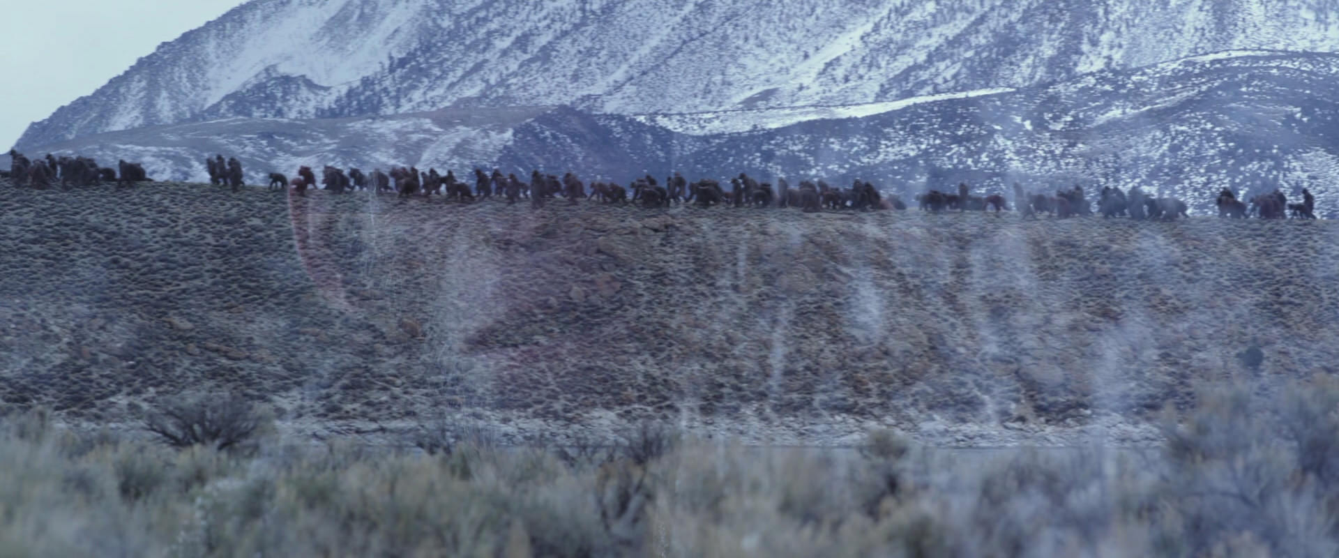 War for the Planet of the Apes (2017) HD screenshot 14966