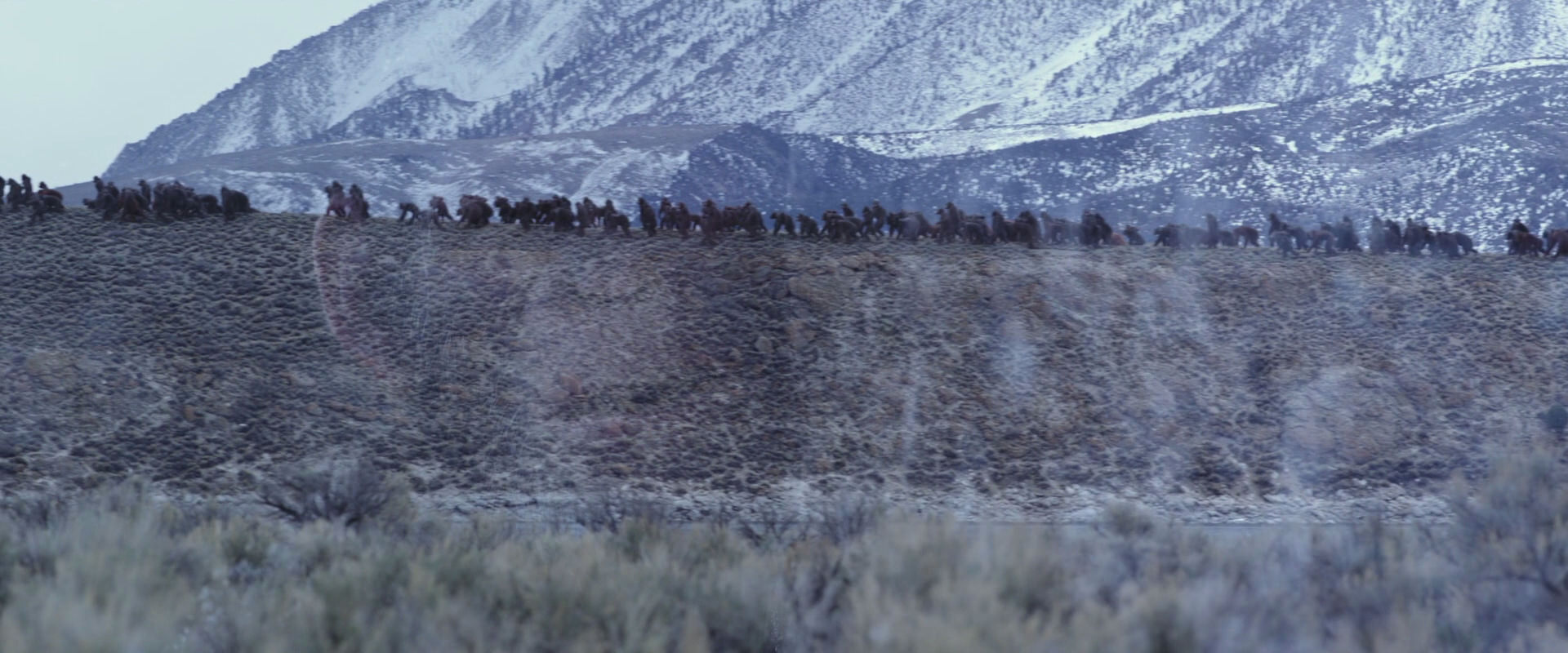 War for the Planet of the Apes (2017) screencap 14967