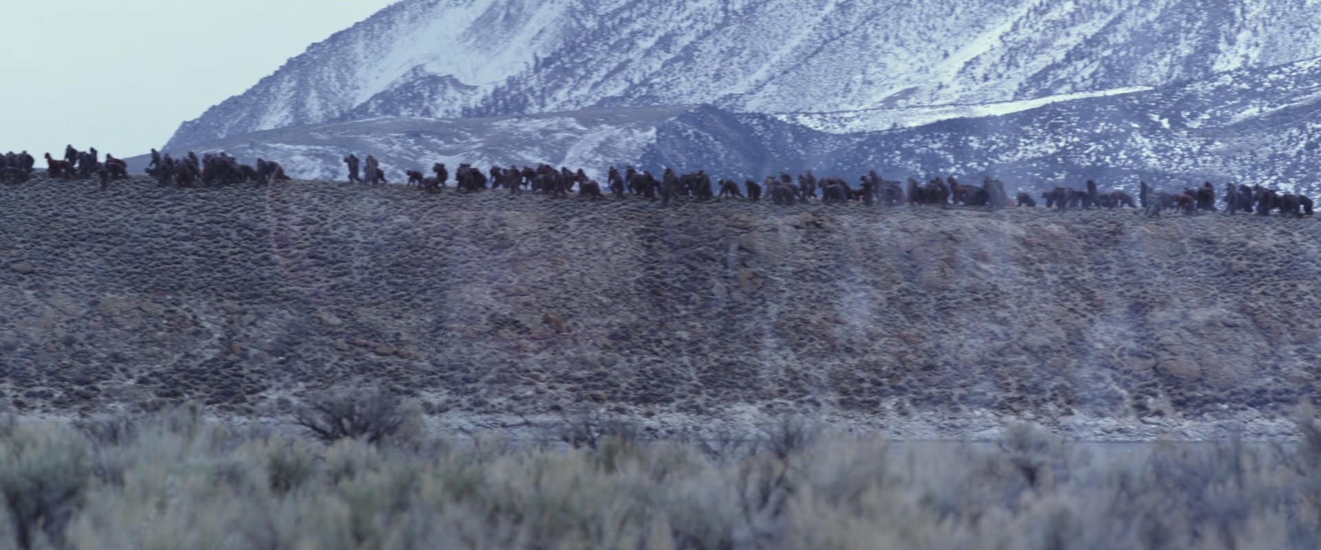 War for the Planet of the Apes (2017) movie still 14968