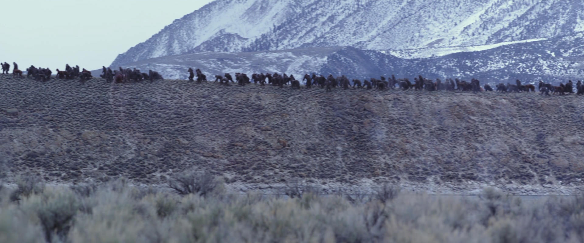 War for the Planet of the Apes (2017) HD screenshot 14969