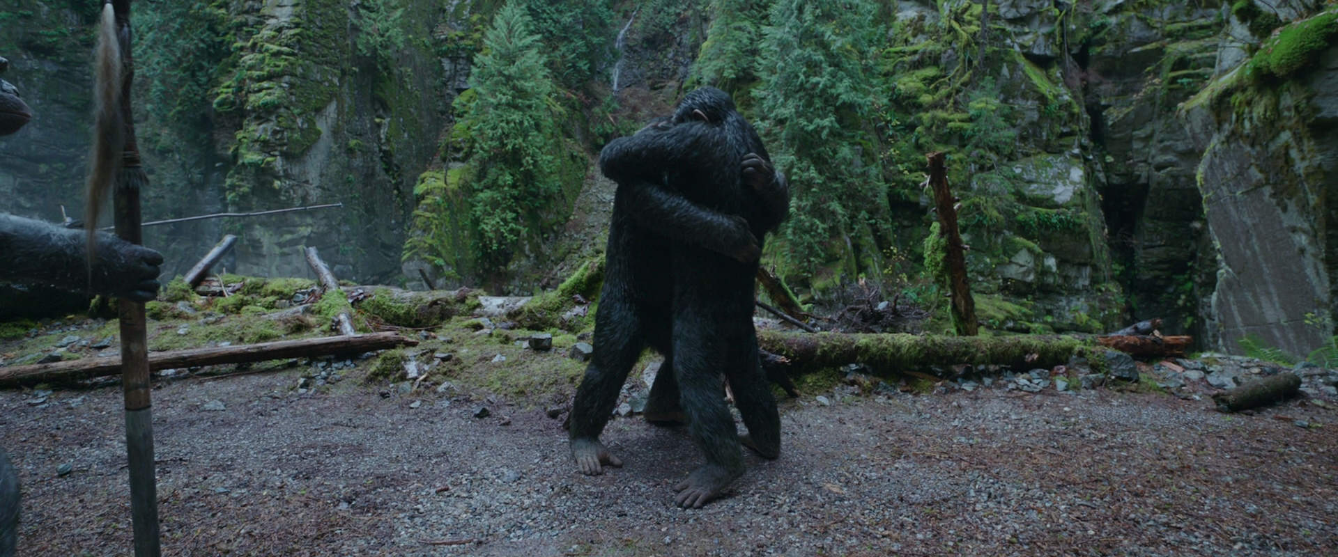 War for the Planet of the Apes (2017) screencap 1497