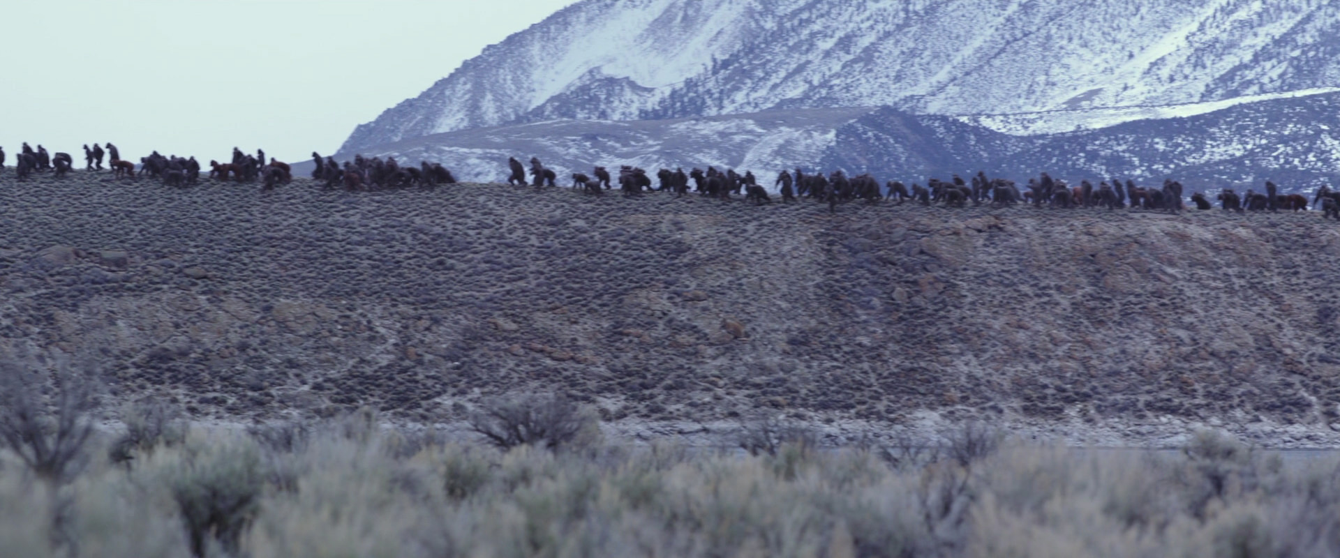 War for the Planet of the Apes (2017) screencap 14970