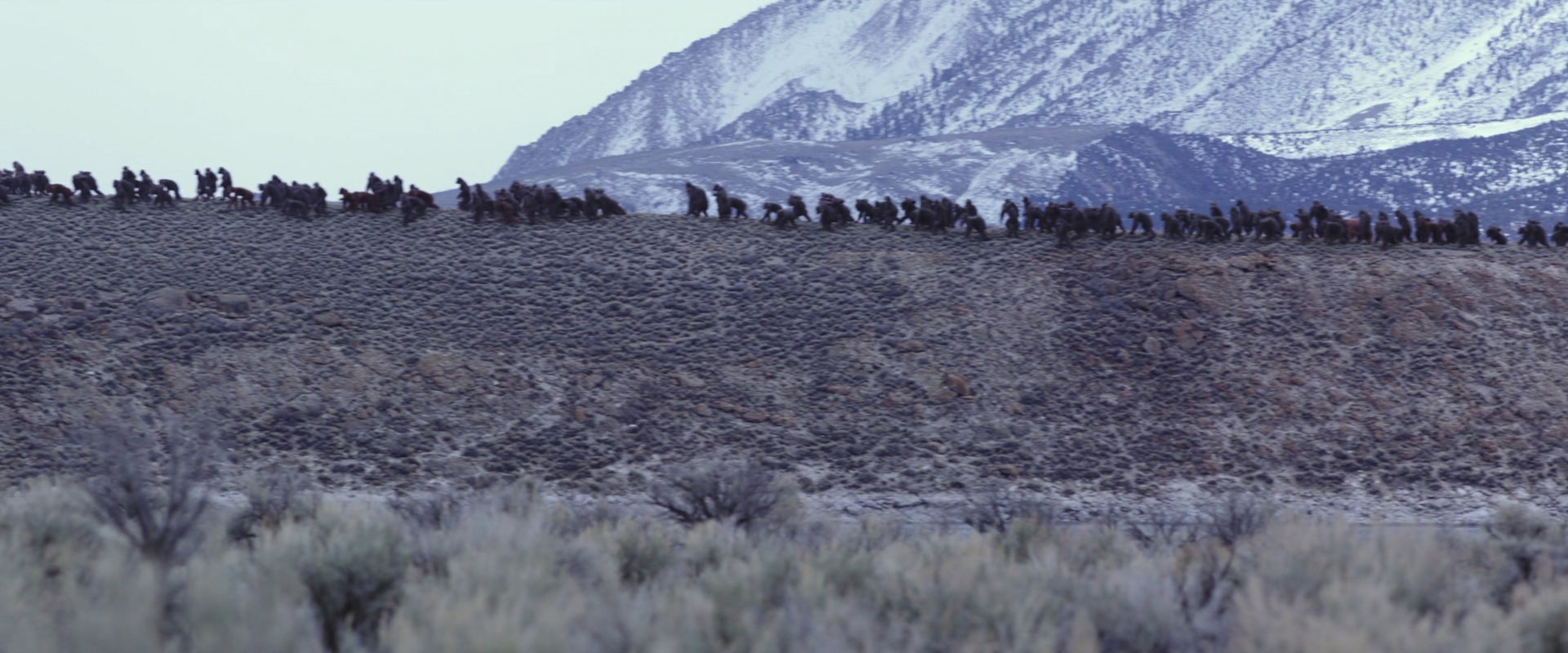War for the Planet of the Apes (2017) movie still 14971
