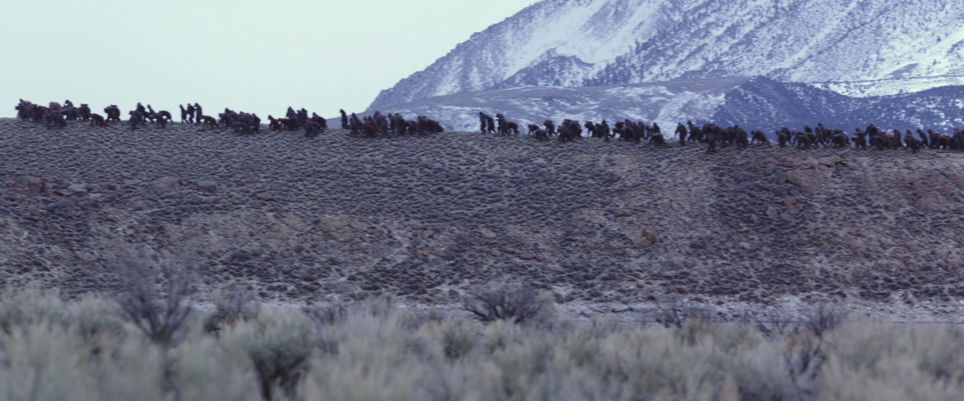 War for the Planet of the Apes (2017) HD screenshot 14972