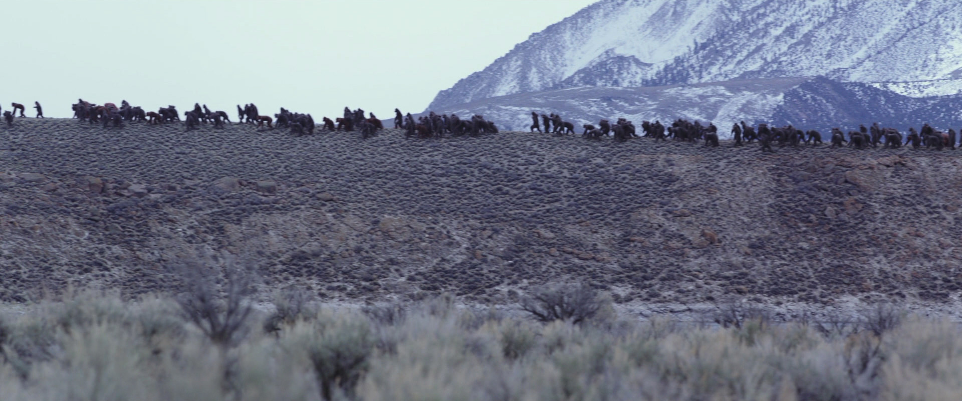 War for the Planet of the Apes (2017) screencap 14973