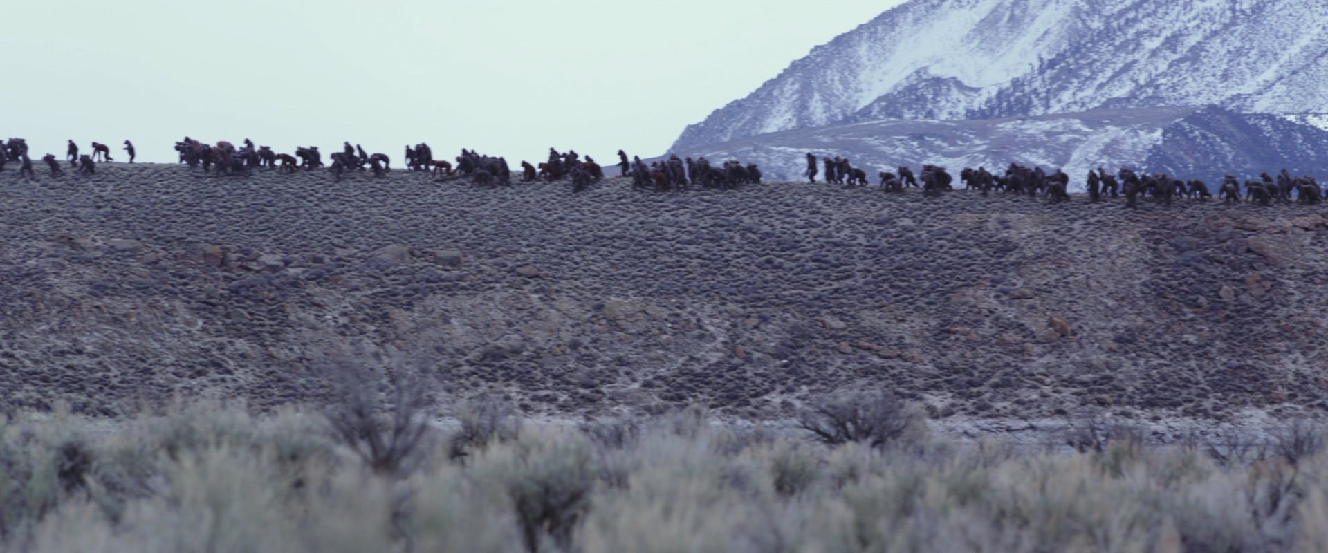 War for the Planet of the Apes (2017) movie still 14974