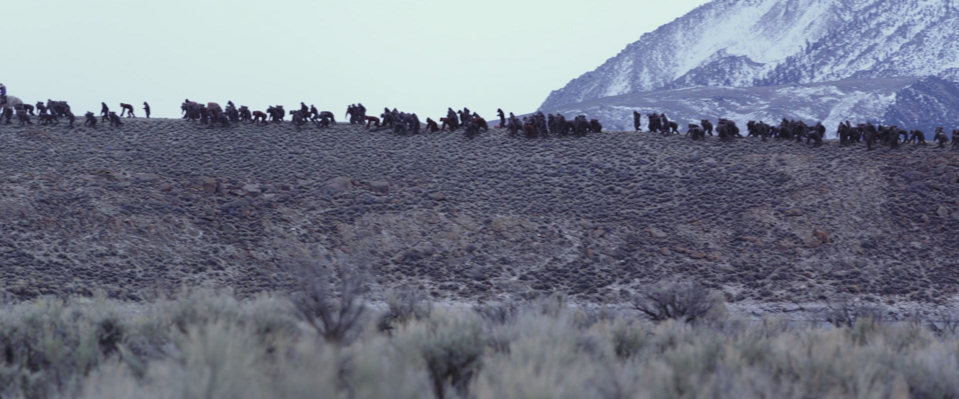 War for the Planet of the Apes (2017) HD screenshot 14975
