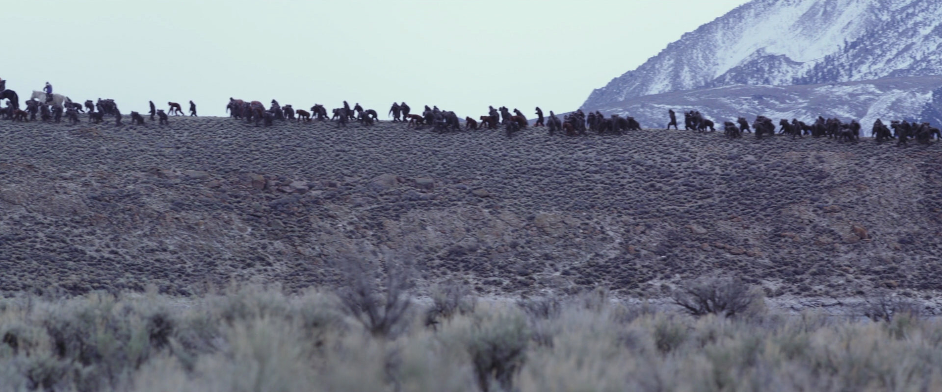 War for the Planet of the Apes (2017) screencap 14976