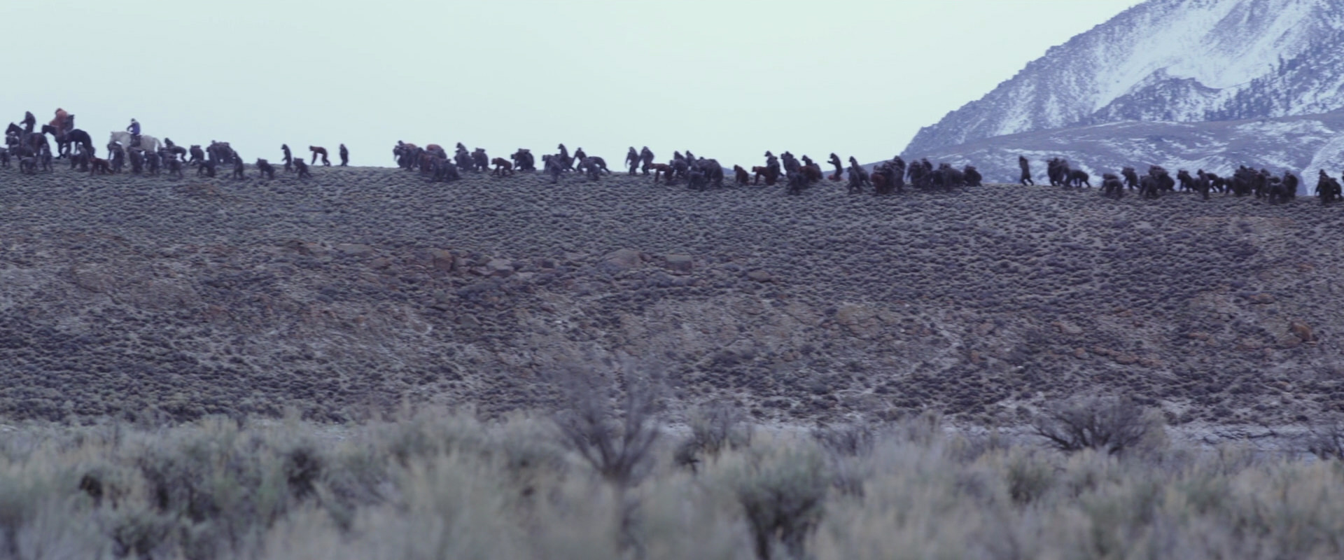 War for the Planet of the Apes (2017) movie still 14977
