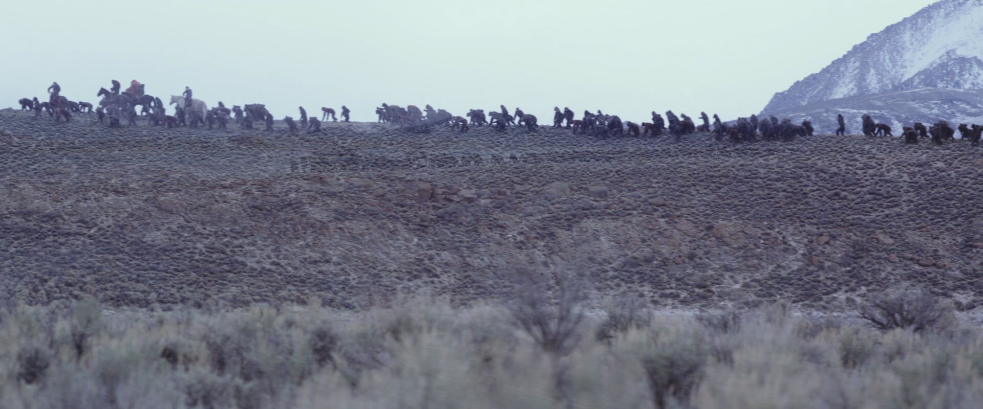 War for the Planet of the Apes (2017) screencap 14979