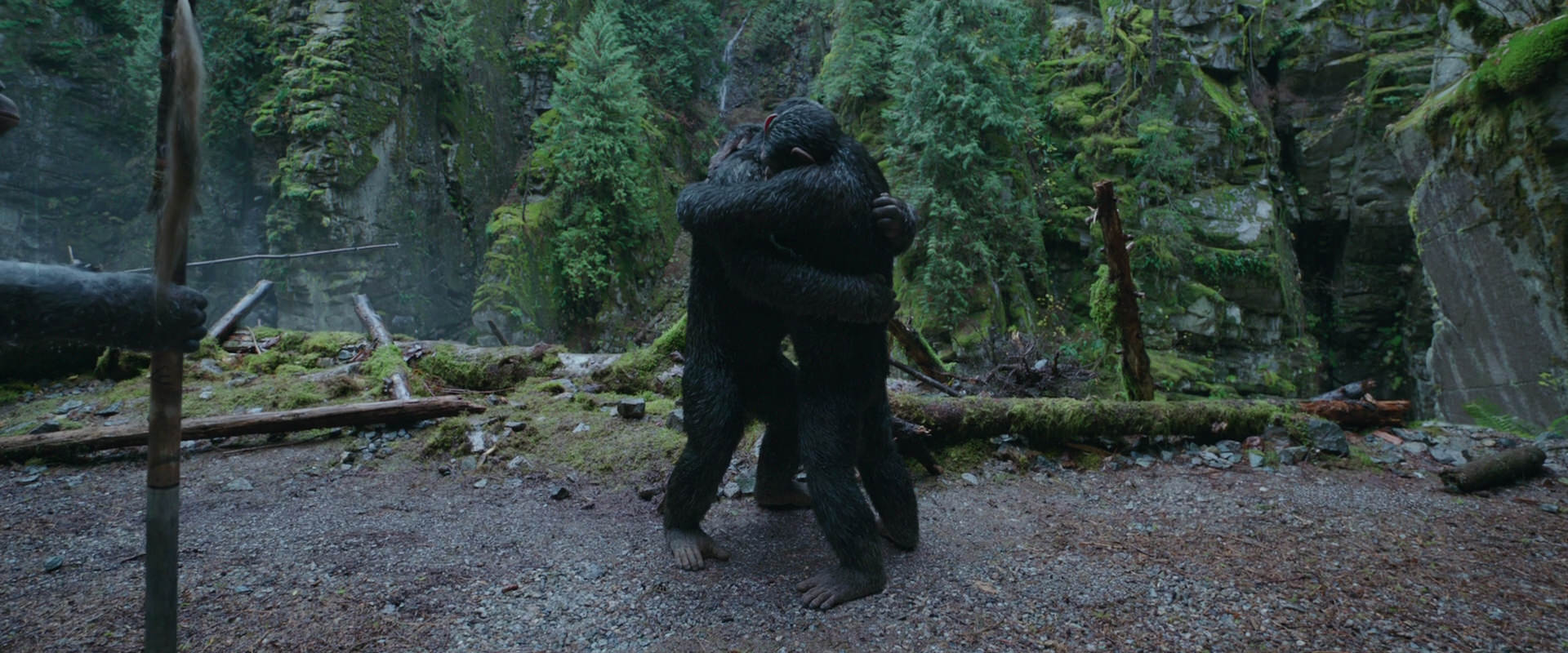 War for the Planet of the Apes (2017) movie still 1498