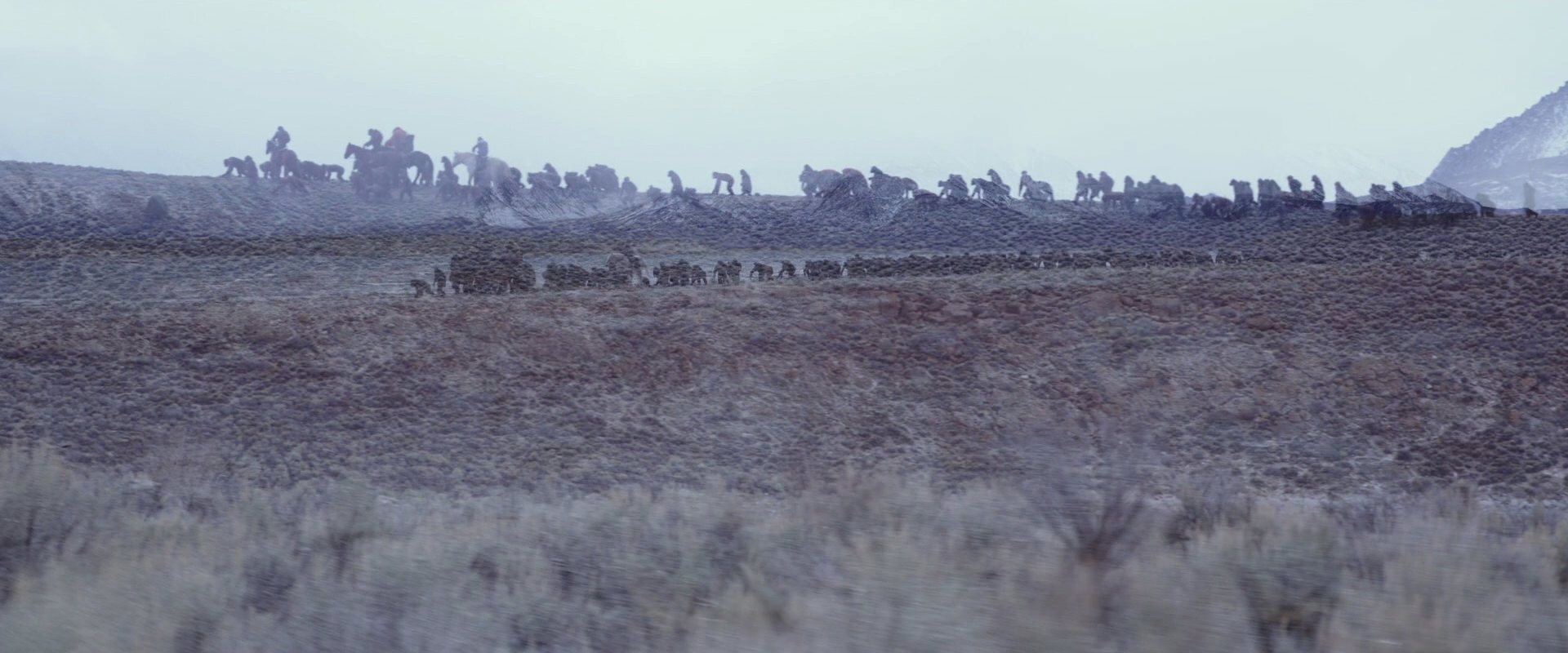 War for the Planet of the Apes (2017) screencap 14982