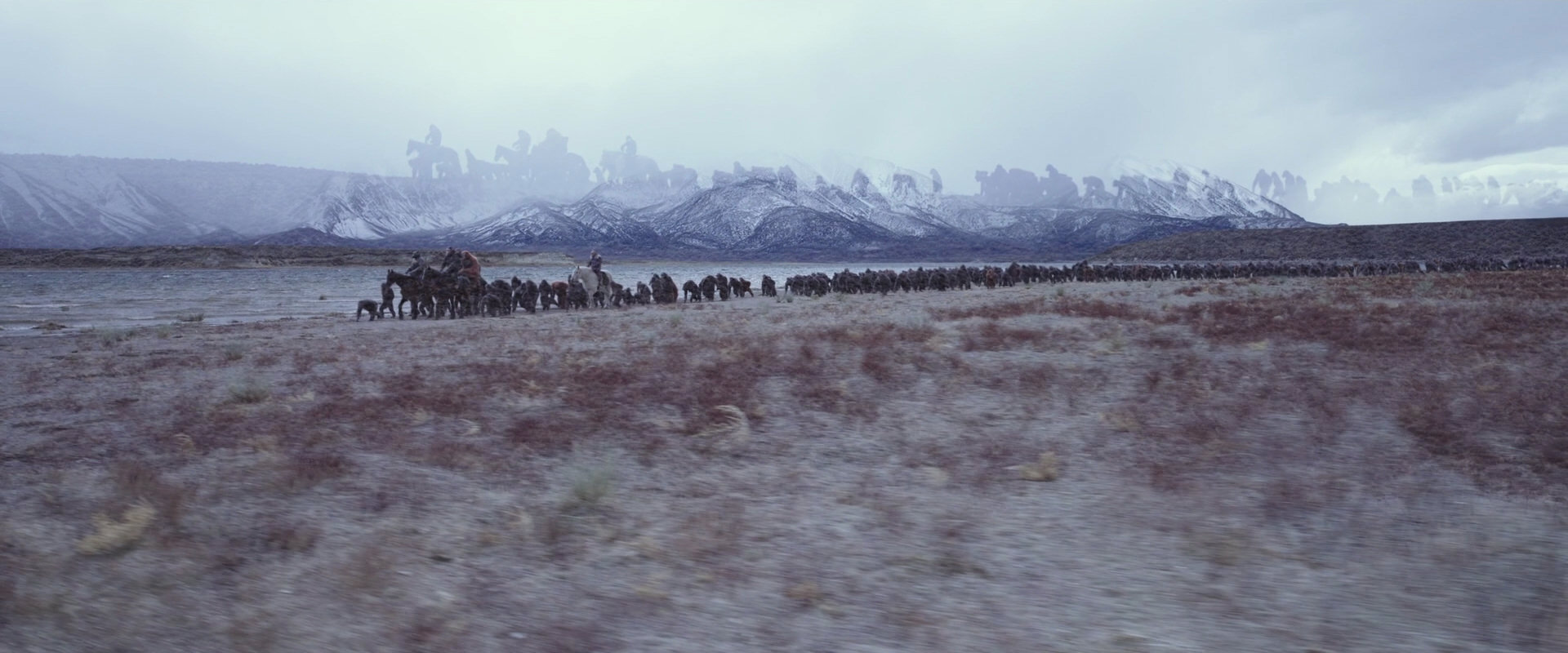 War for the Planet of the Apes (2017) movie still 14989