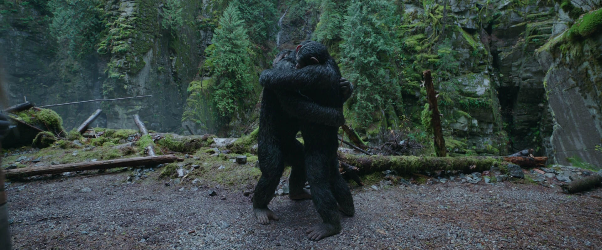 War for the Planet of the Apes (2017) HD screenshot 1499