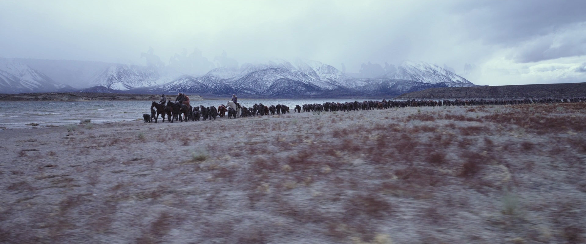 War for the Planet of the Apes (2017) movie still 14992