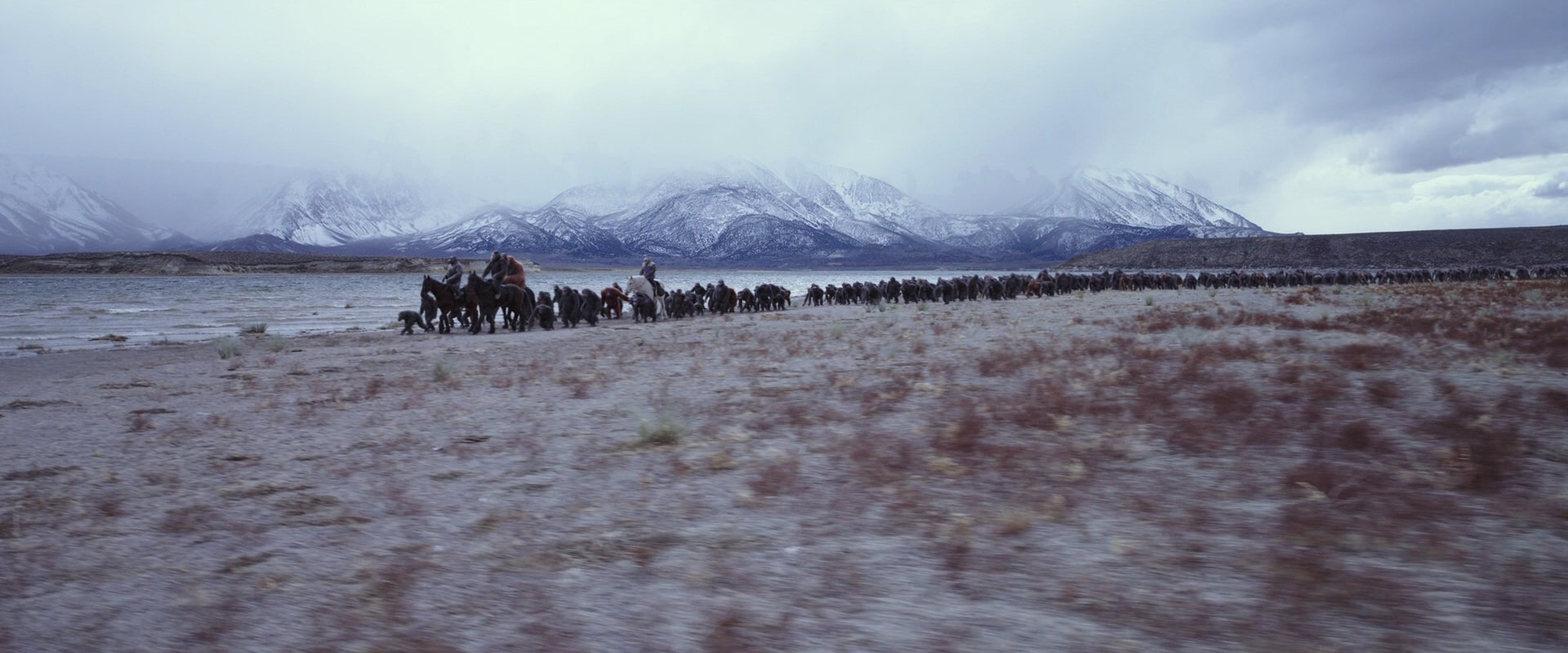 War for the Planet of the Apes (2017) HD screenshot 14993