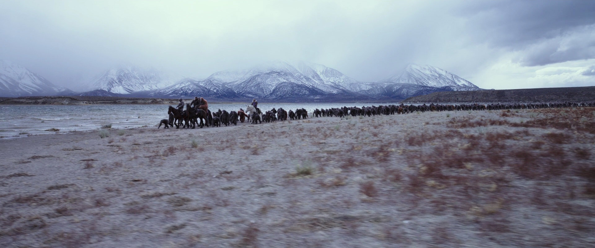 War for the Planet of the Apes (2017) screencap 14994