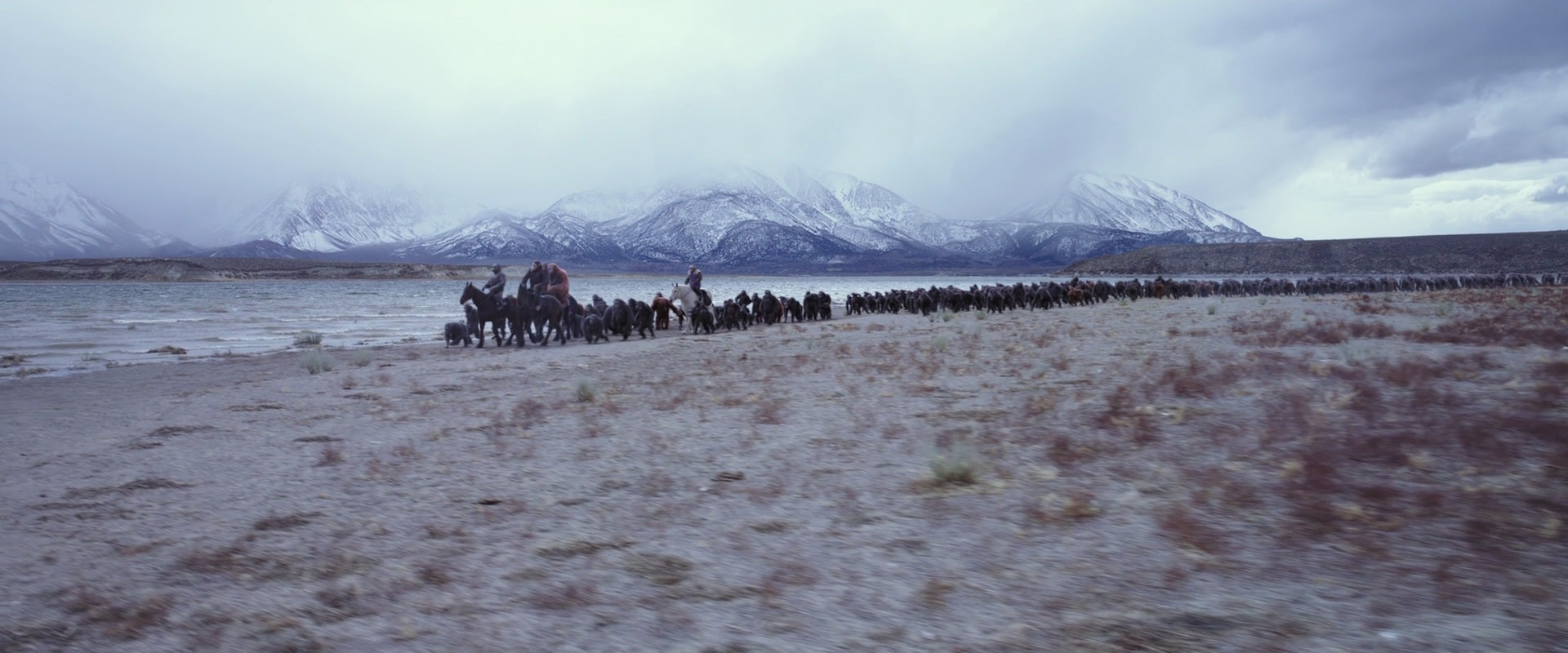 War for the Planet of the Apes (2017) movie still 14995