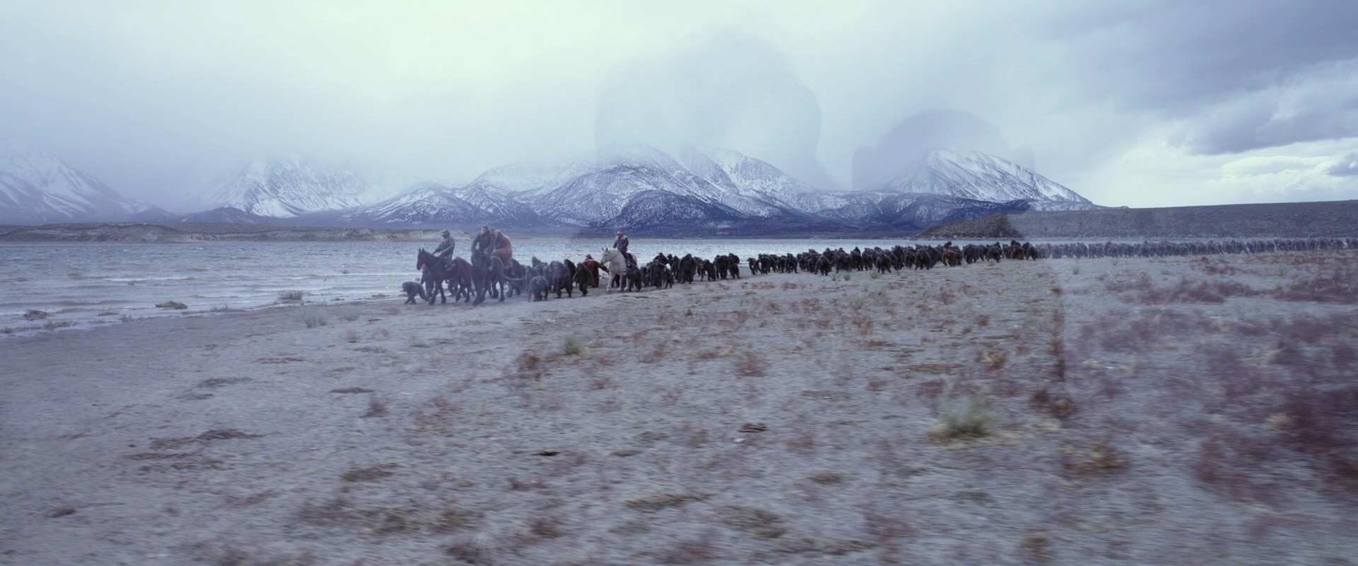 War for the Planet of the Apes (2017) HD screenshot 14996