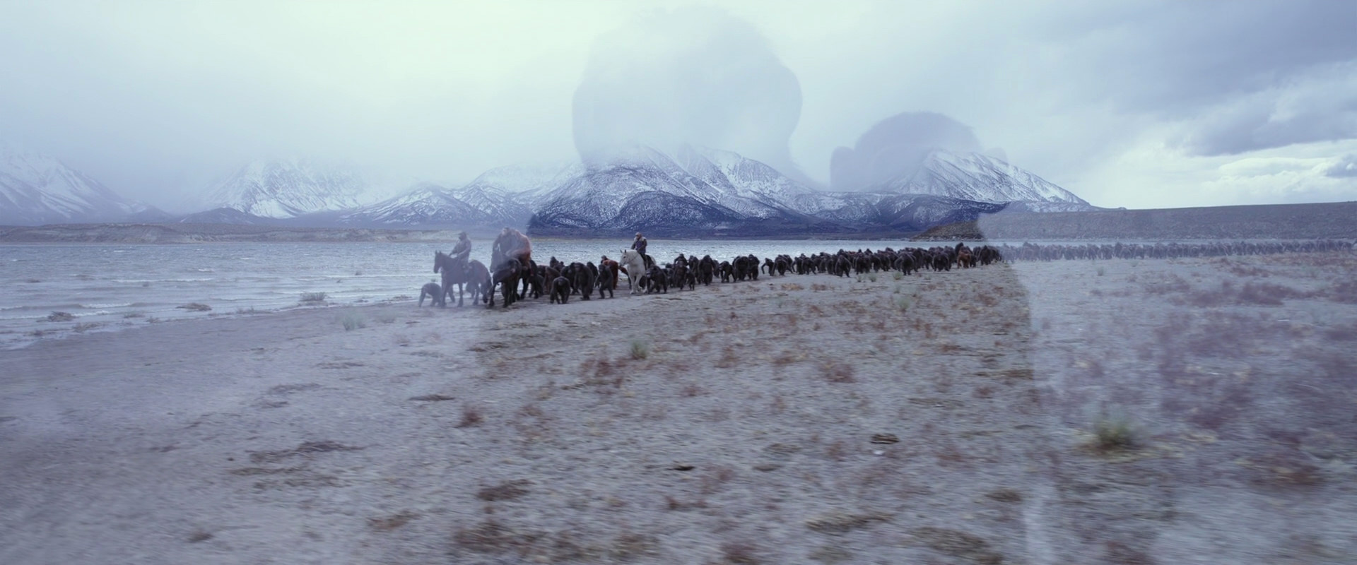 War for the Planet of the Apes (2017) screencap 14997