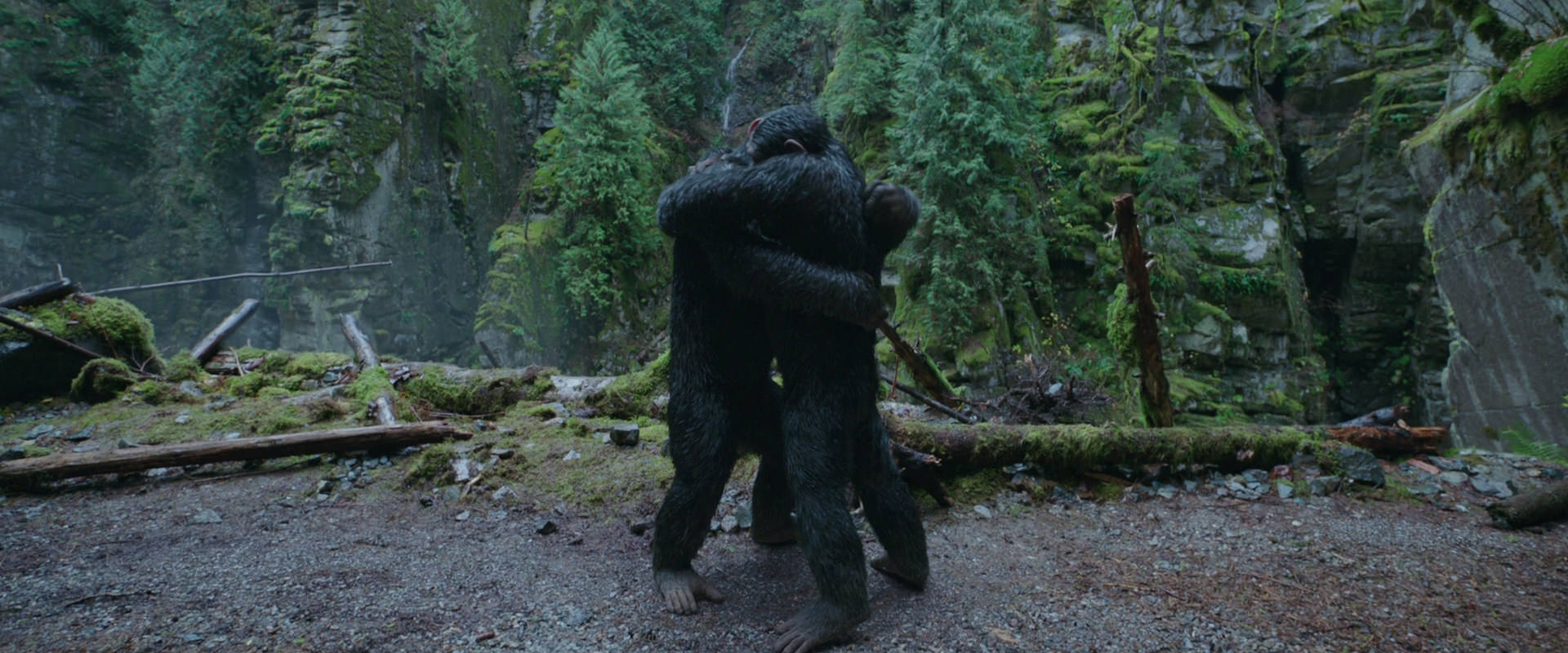 War for the Planet of the Apes (2017) screencap 1500
