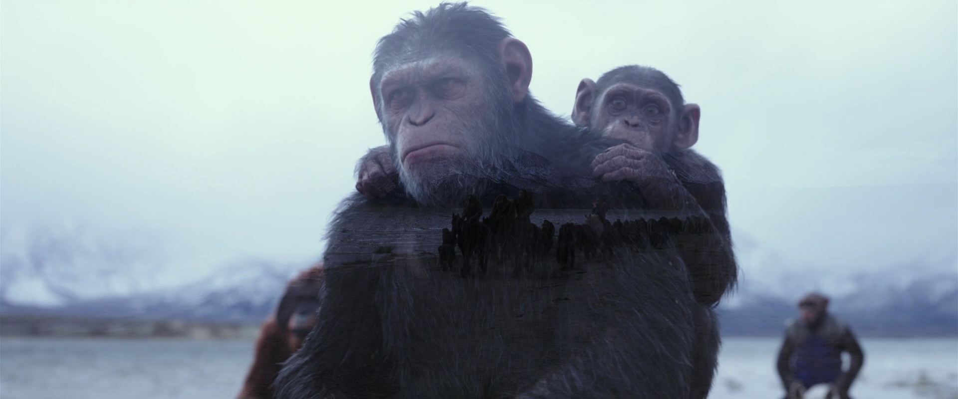 War for the Planet of the Apes (2017) screencap 15009