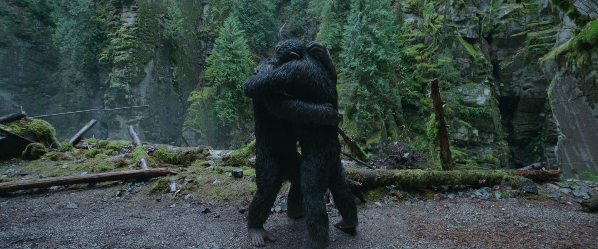 War for the Planet of the Apes (2017) movie still 1501