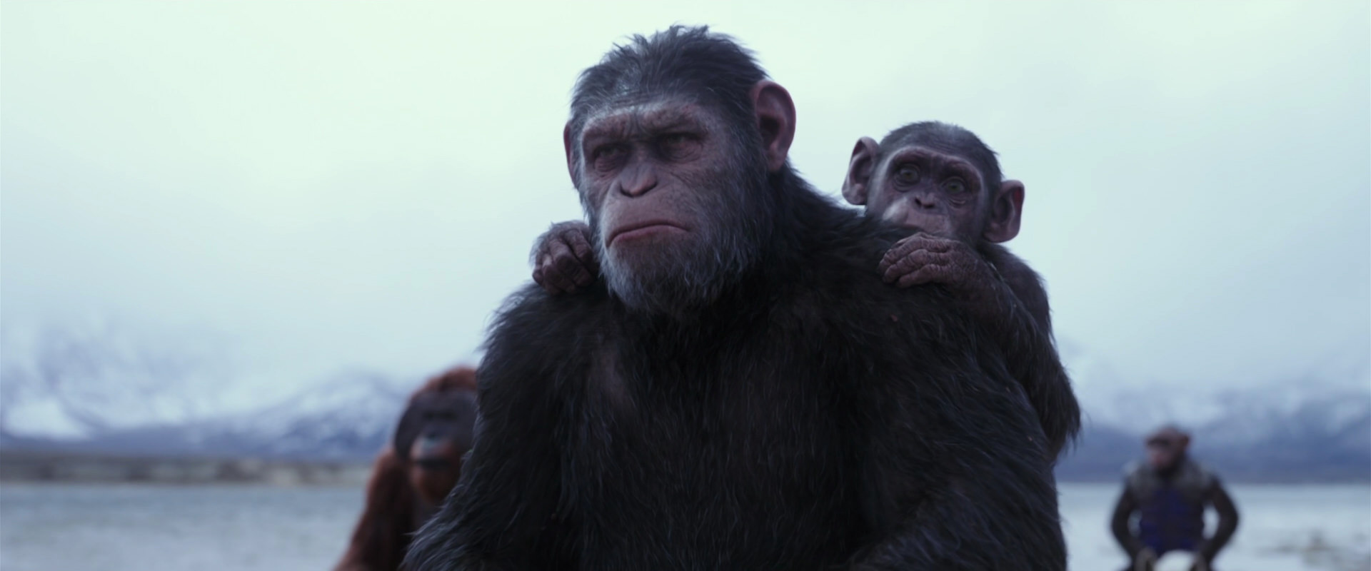 War for the Planet of the Apes (2017) movie still 15010
