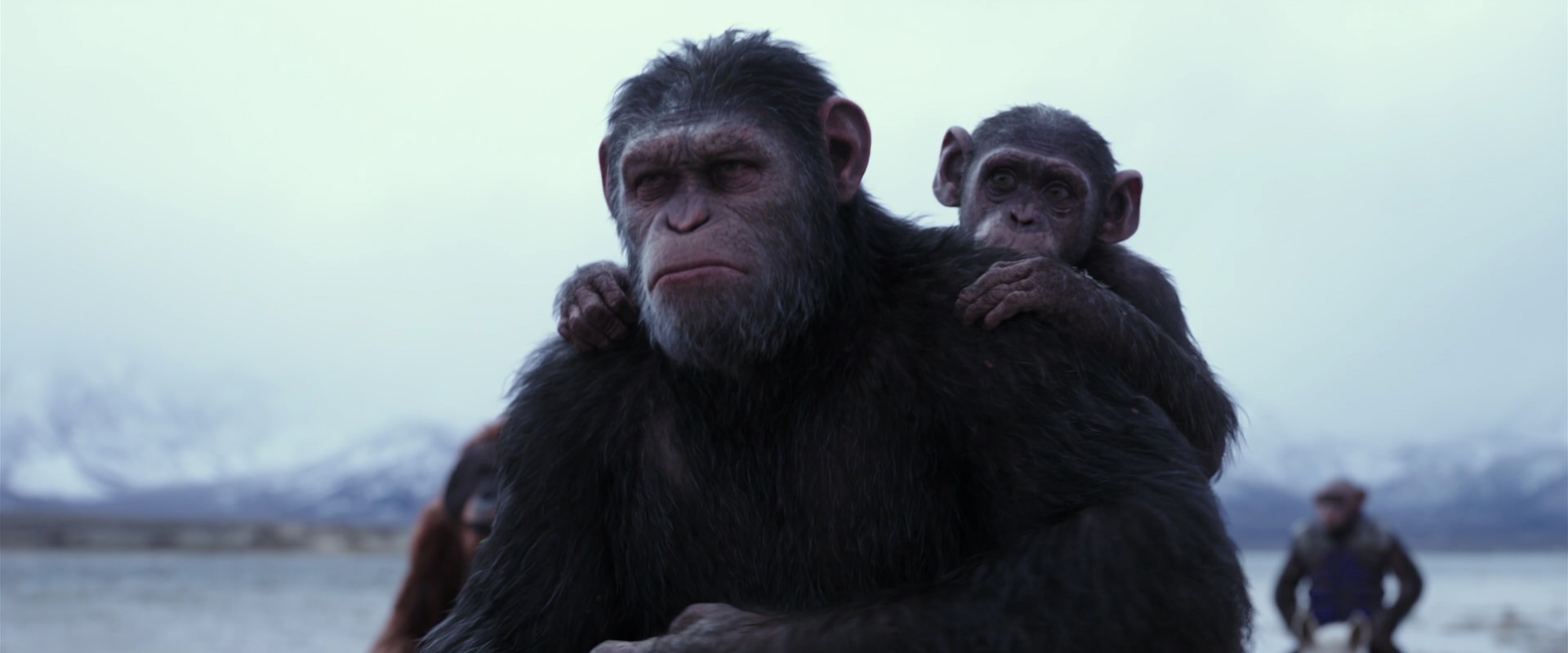 War for the Planet of the Apes (2017) HD screenshot 15011