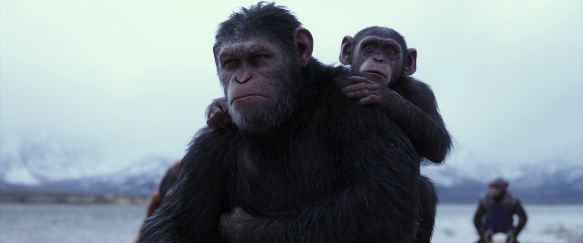 War for the Planet of the Apes (2017) screencap 15012