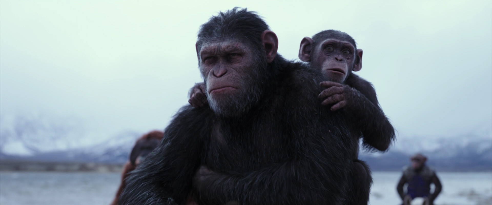 War for the Planet of the Apes (2017) movie still 15013
