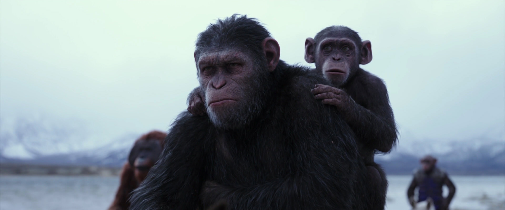 War for the Planet of the Apes (2017) HD screenshot 15014