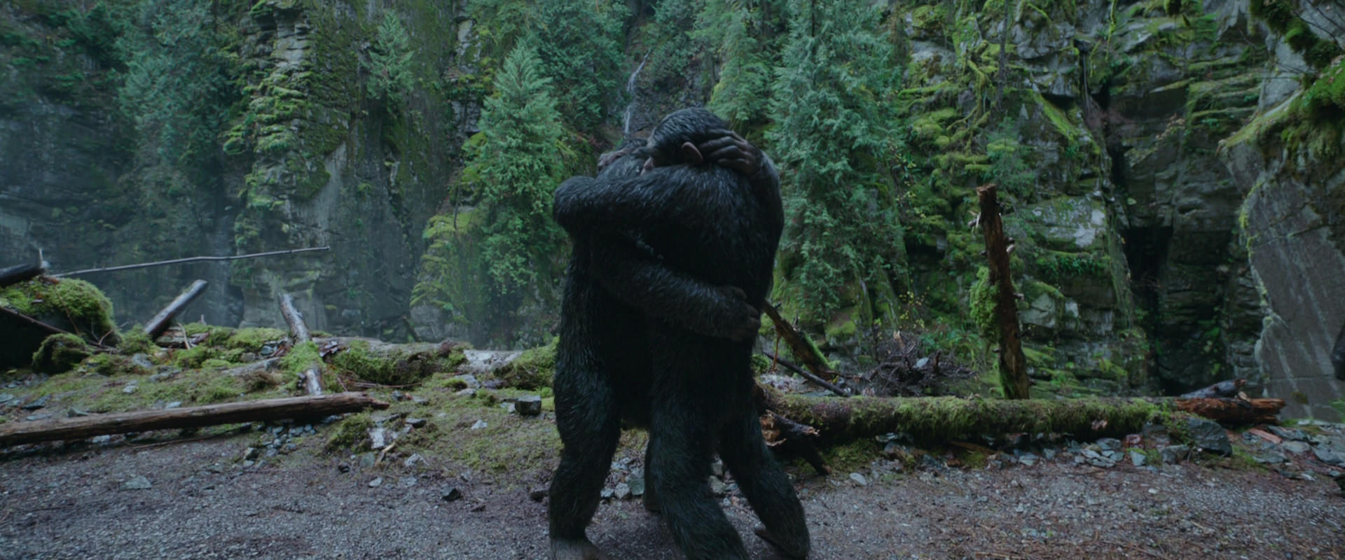 War for the Planet of the Apes (2017) HD screenshot 1502