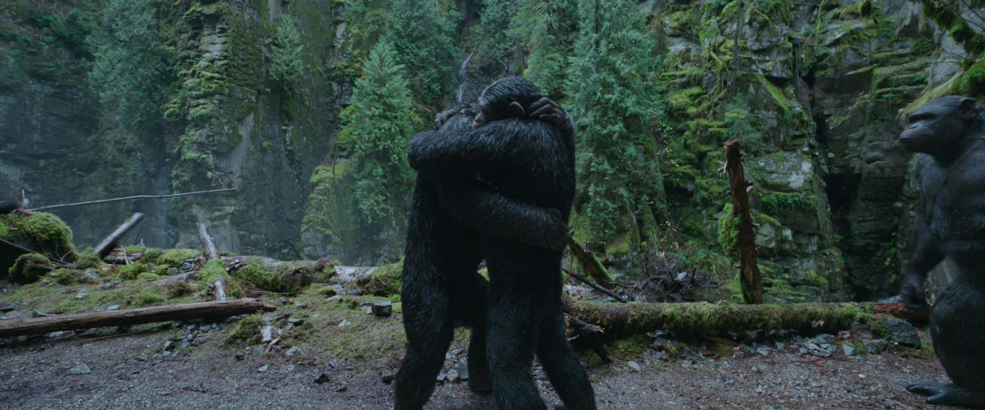 War for the Planet of the Apes (2017) screencap 1503