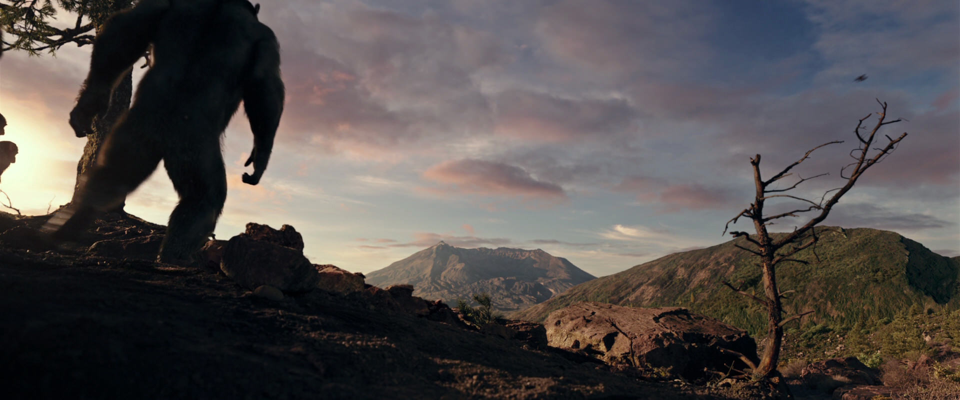 War for the Planet of the Apes (2017) screencap 15036