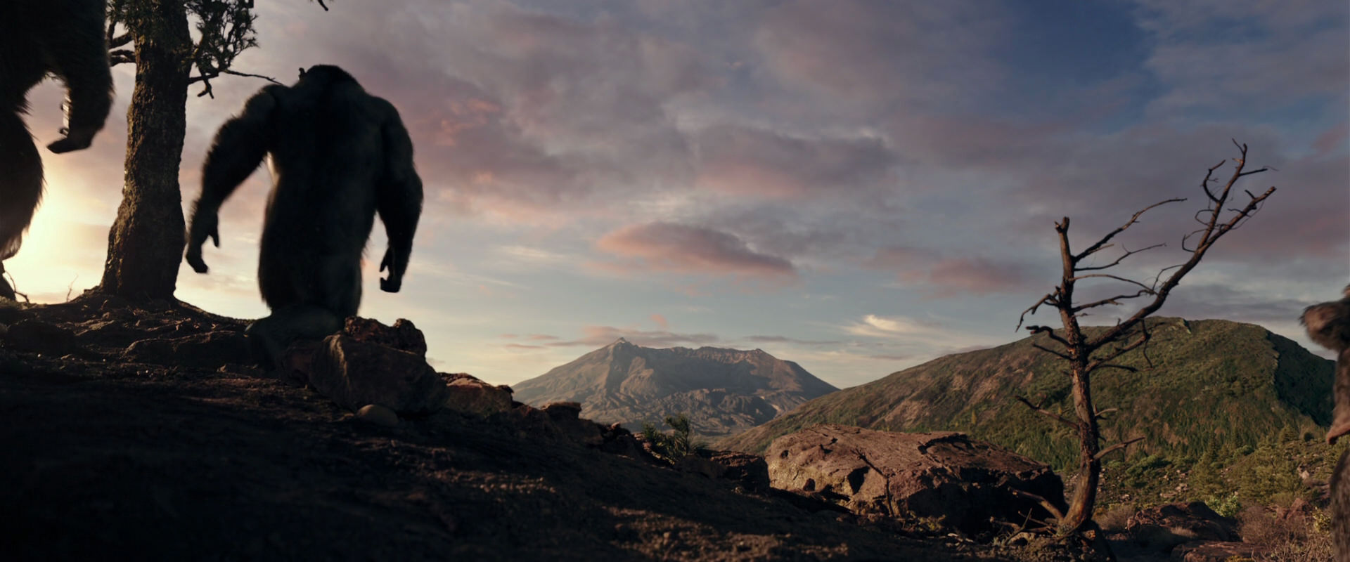 War for the Planet of the Apes (2017) movie still 15037