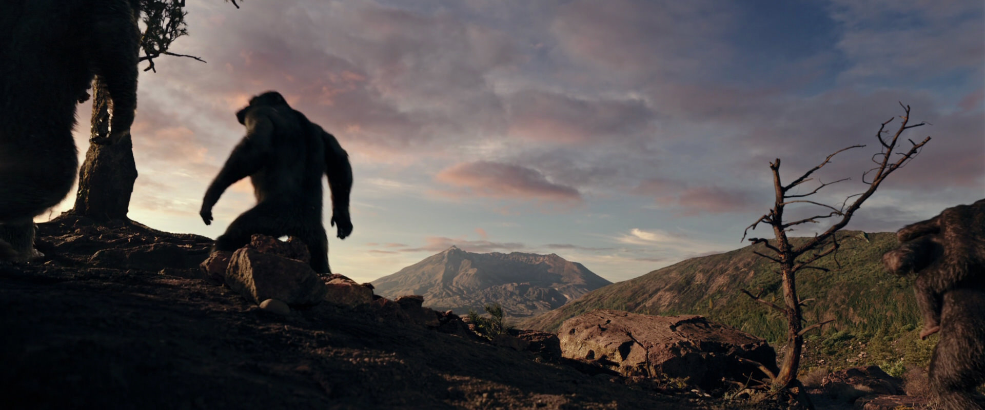 War for the Planet of the Apes (2017) HD screenshot 15038