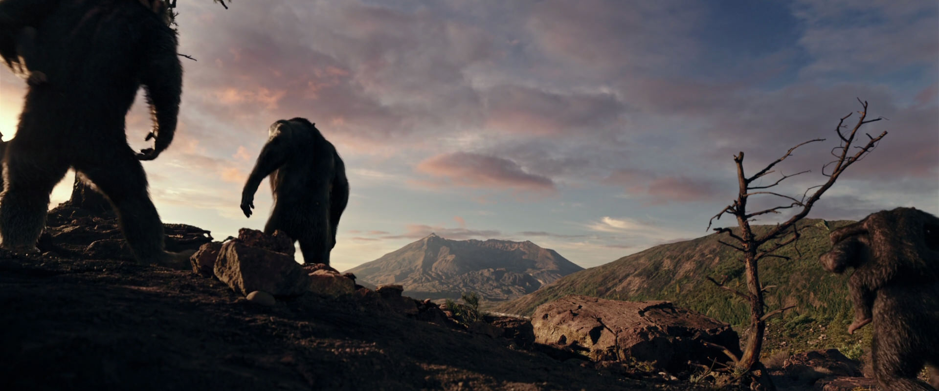 War for the Planet of the Apes (2017) screencap 15039