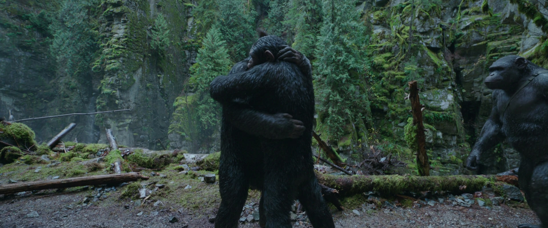 War for the Planet of the Apes (2017) movie still 1504