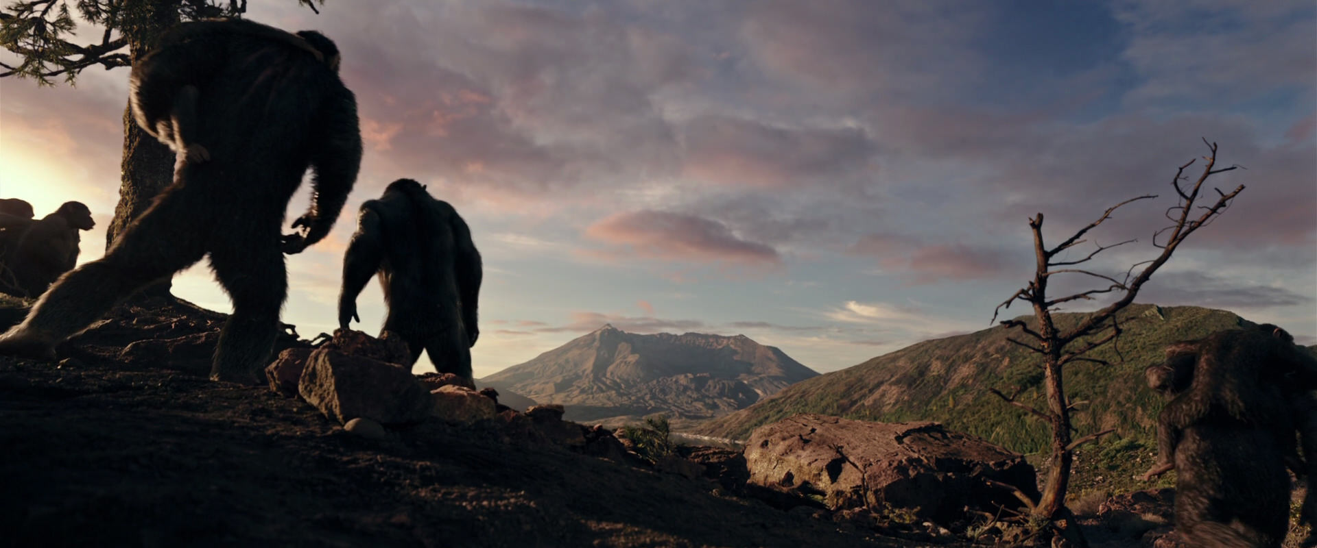 War for the Planet of the Apes (2017) movie still 15040