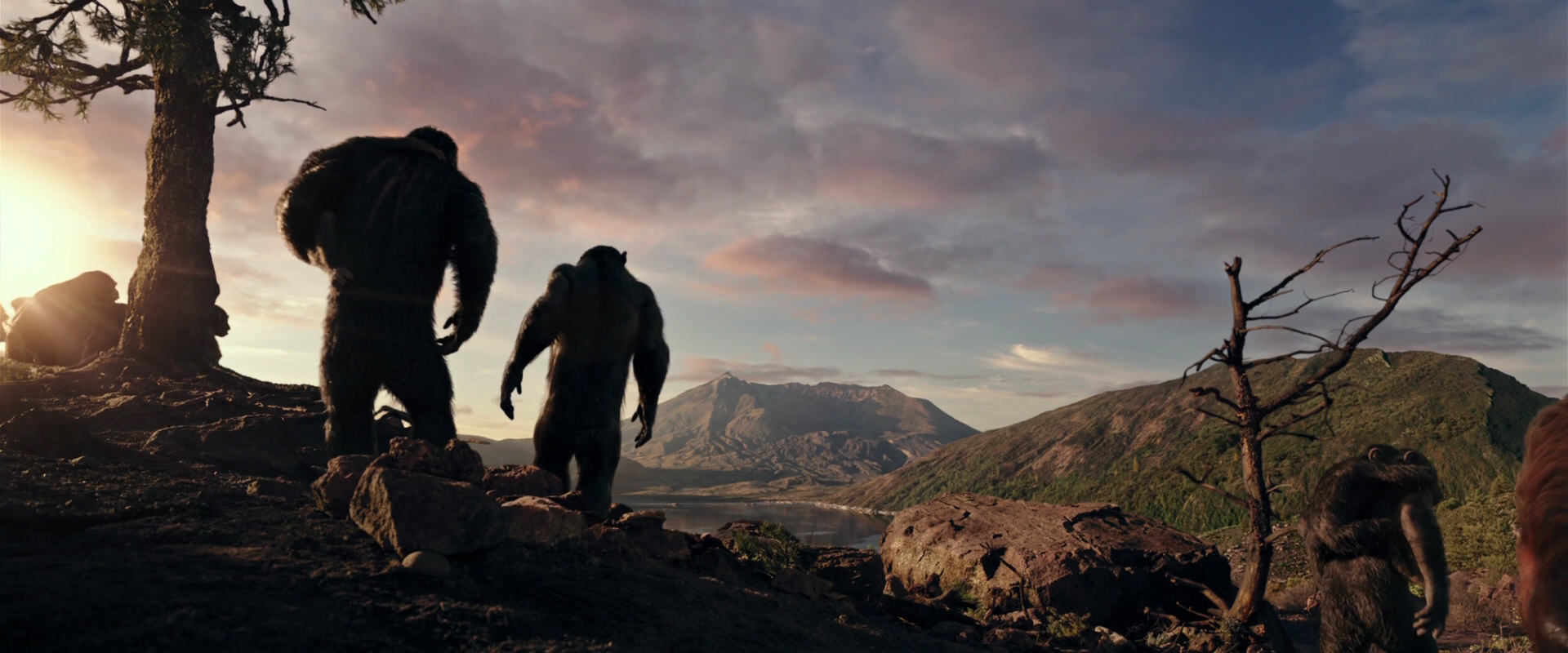 War for the Planet of the Apes (2017) movie still 15043